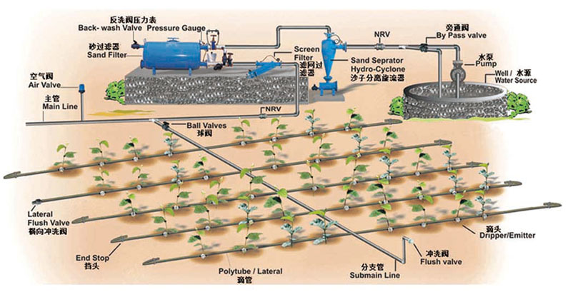 Drip Irrigation Projection And Technology